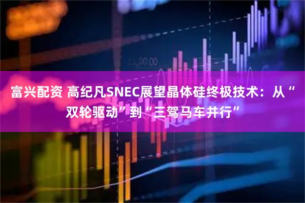 富兴配资 高纪凡SNEC展望晶体硅终极技术：从“双轮驱动”到“三驾马车并行”